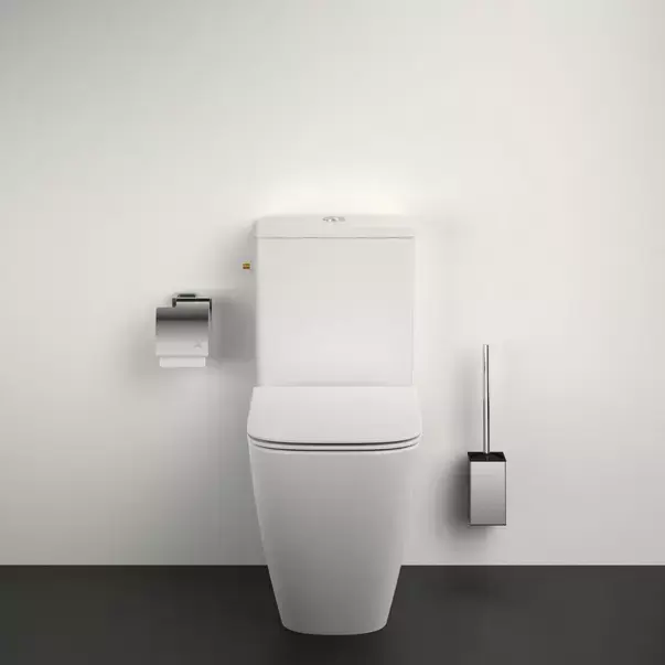Perie WC Ideal Standard IOM [2]