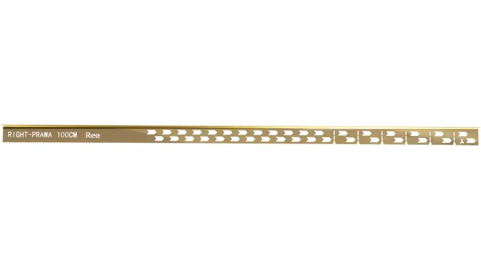 Profil de panta cadita de dus stanga Auriu 100cm, Rea [6]