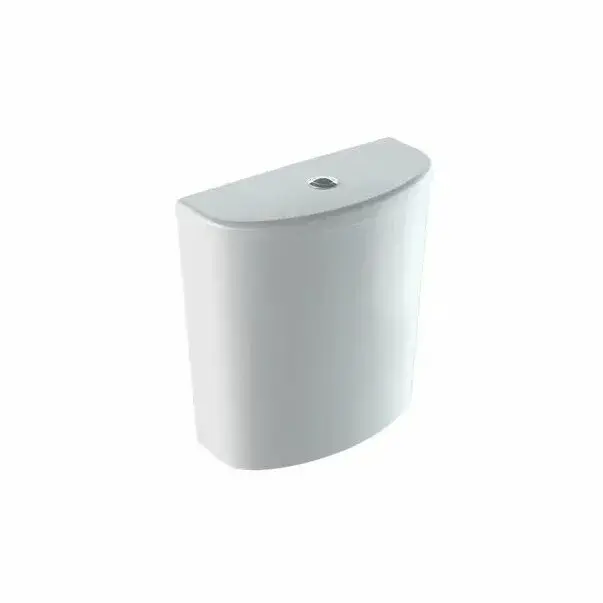 Rezervor pe vas wc Geberit Selnova ceramica cu alimentare laterala [1]