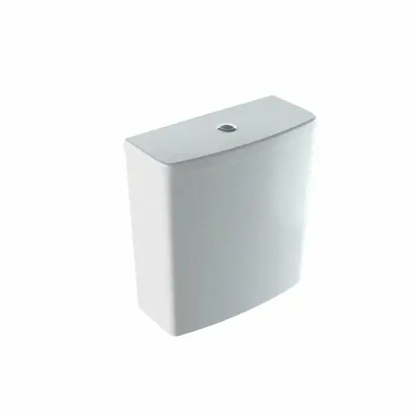 Rezervor pe vas wc Geberit Selnova Square cu alimentare laterala pentru Rimfree [1]