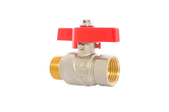 Robinet trecere pentru apă PN30 3/4" FI-FE [4]