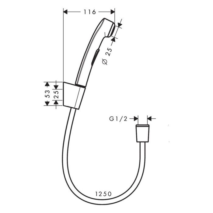 Set dus igiena intima, Hansgrohe, Bidette, un jet, suport dus Porter S, furtun Isiflex 125 cm, crom [2]