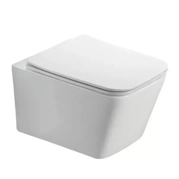 Set rezervor WC cu cadru incastrat Alcadrain AM101/1120 si clapeta M770 alb plus vas WC Fluminia Paris cu capac softclose [7]