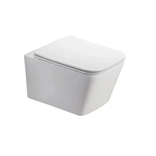 Set vas WC suspendat cu capac softclose si bideu Fluminia Paris alb [2]
