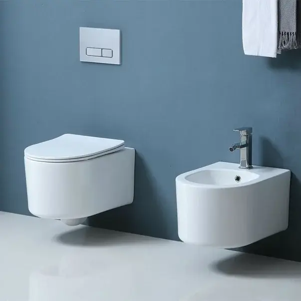 Set vas wc suspendat rimless si capac softclose Quick Release Fluminia Roco [3]