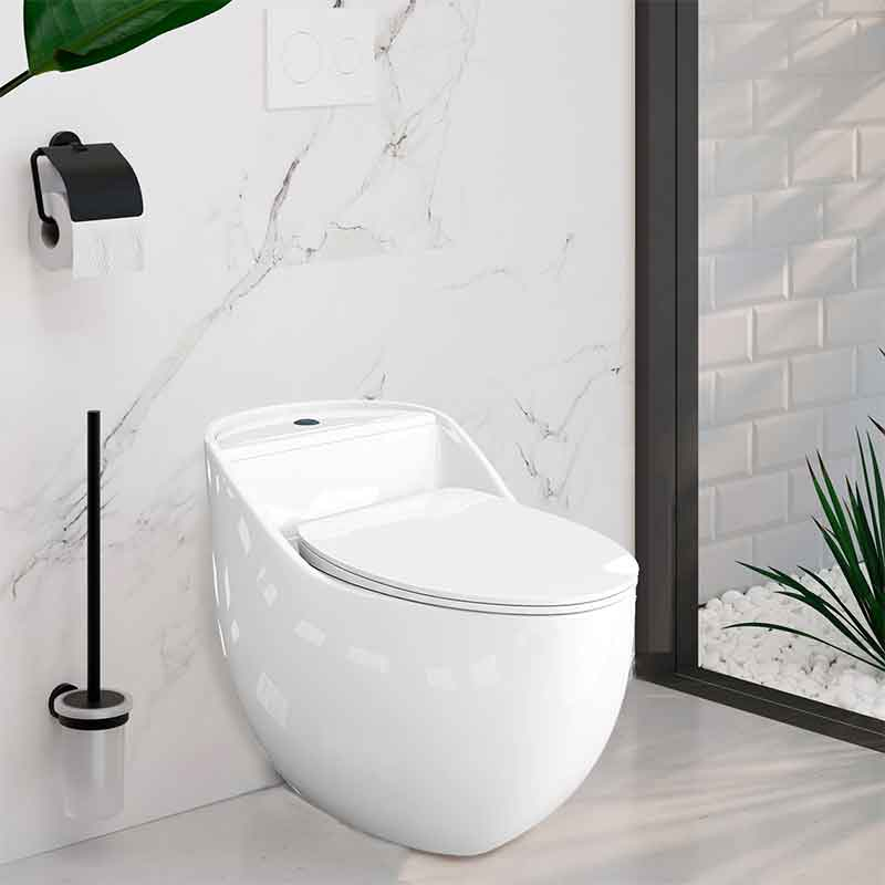 Set WC monobloc, Spectrum, Olimpos, Rimless Protect, cu capac și rezervor, alb [2]