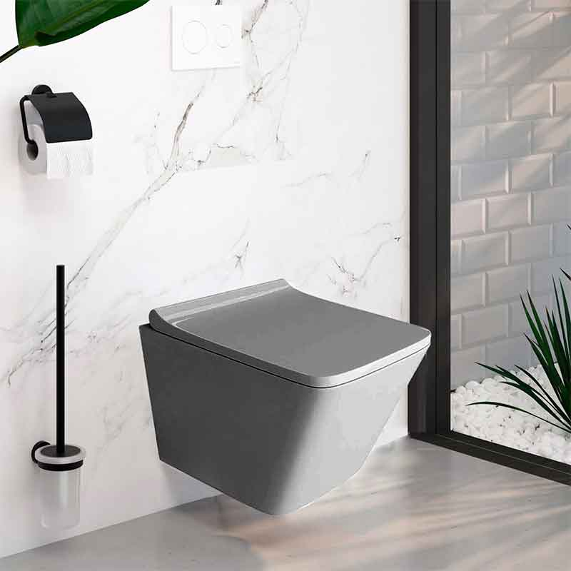Set WC suspendat Spectrum Lima Grey, Rimless Protect,  34x48.5cm , gri mat [3]