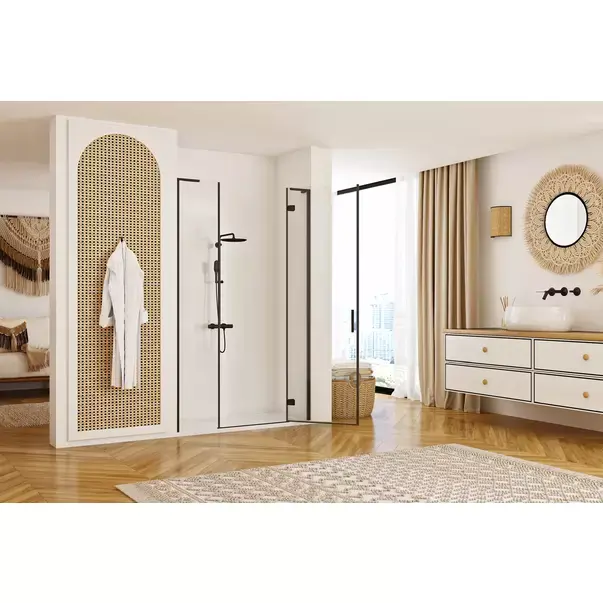 Usa de nisa batanta Rea Hugo 110 cm sticla 6 mm negru [3]