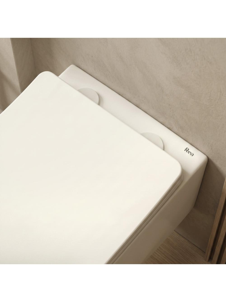 Vas WC suspendabil REA Focus Tornado finisaj mat ecru 485x360x330 mm [8]