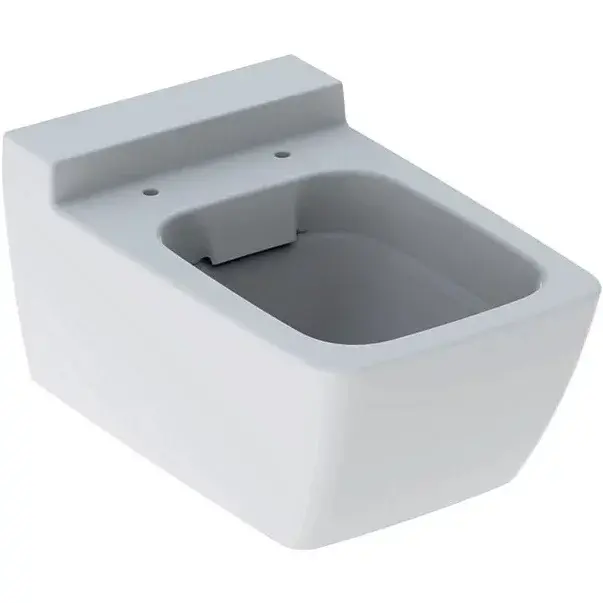 Vas wc suspendat Geberit Xeno2 rimfree cu spalare verticala alb [1]
