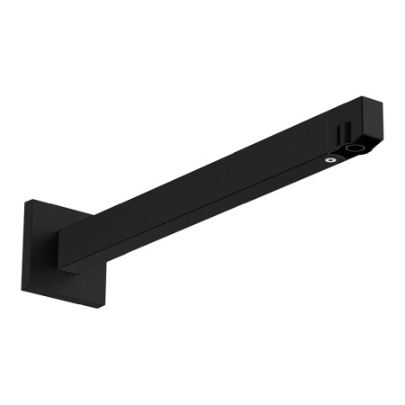 Brate si palarii dus - Brat de dus, Hansgrohe, E 39 cm, negru mat