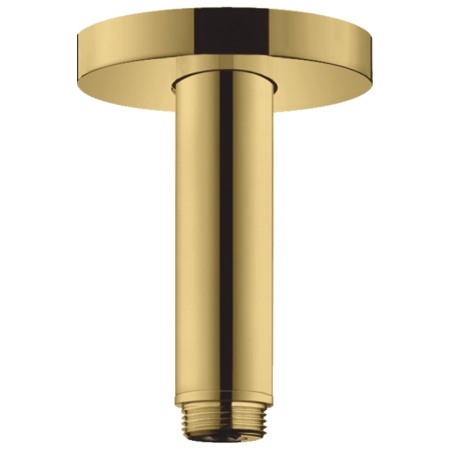 Brate si palarii dus - Brat de dus, Hansgrohe, S 100, cu montaj pe tavan, 10 cm, auriu lucios