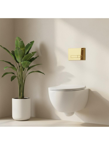 Cadru WC încastrat Rea cu buton HD auriu [10]