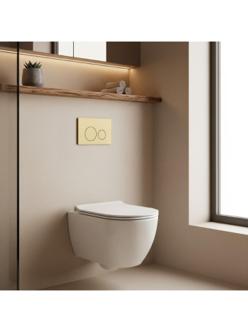 Cadru WC încastrat Rea cu buton I auriu periat [10]
