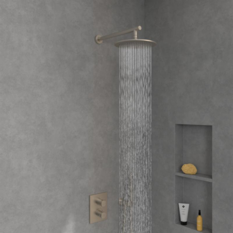 Cap de duș Villeroy&Boch, Universal Showers, Ø25 cm, bruhsed nickel [2]