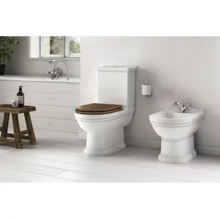Capac wc Gala Noble softclose maro [1]