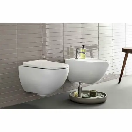 Capac wc Geberit Acanto inchidere lenta balamale Quick Release [1]