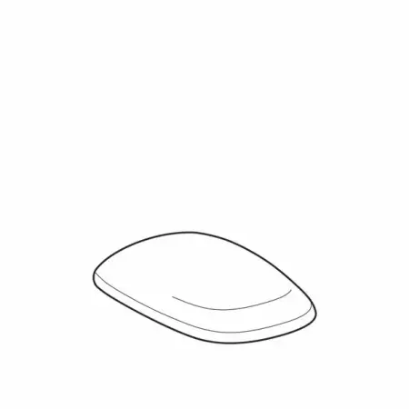 Capac wc Geberit Citterio [1]
