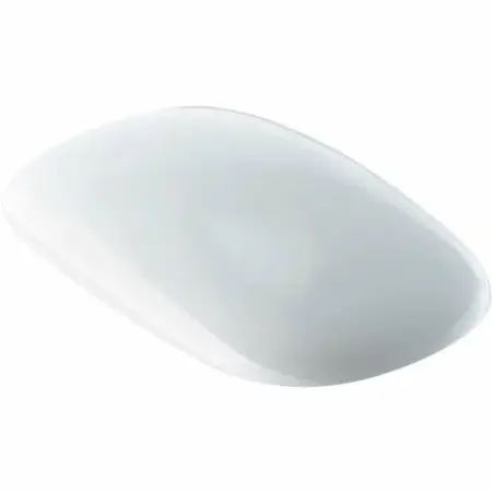 Obiecte Sanitare - Capac wc Geberit Citterio