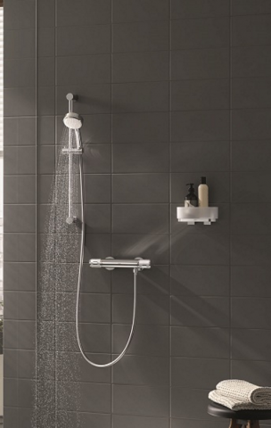 Grohe Selection Polita dus 20 cm [1]