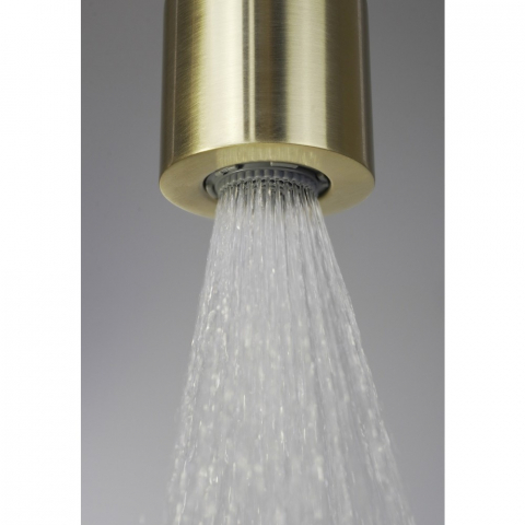 Palarie de dus fixa Deante 4,2 cm auriu [2]