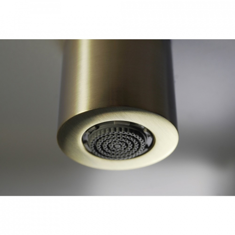 Palarie de dus fixa Deante 4,2 cm auriu [1]