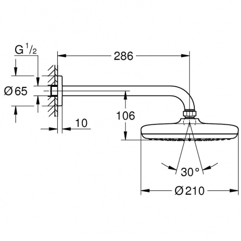 Palarie dus fix Grohe Tempesta 210, Ø21 cm cu brat, montaj pe perete [2]
