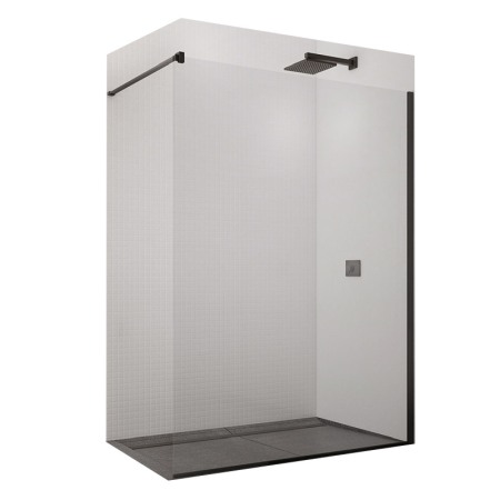 Cabine dus - Paravan de dus SanSwiss, Easy, 100 x 200 cm, profil negru mat