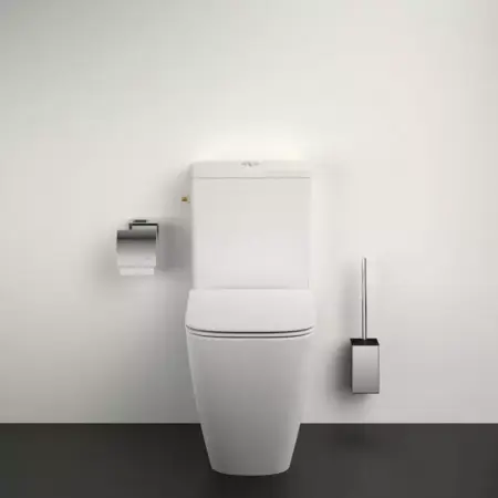Perie WC Ideal Standard IOM [1]