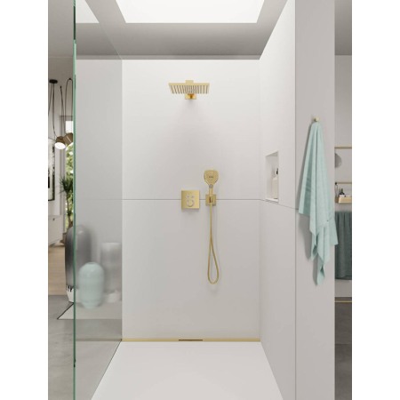 Racord de dus, Hansgrohe, FixFit E, cu suport pentru para de dus, auriu lucios [2]