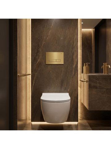 Set Cadru Ingropat Rea Slim 024N pentru WC cu Buton HD Auriu [8]
