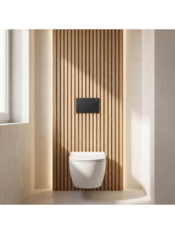 Set Cadru Ingropat REA Slim 024N pentru WC Buton T Negru Mat [3]
