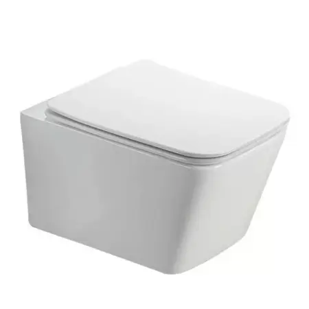 Set rezervor WC cu cadru incastrat Alcadrain AM101/1120 si clapeta M770 alb plus vas WC Fluminia Paris cu capac softclose [6]