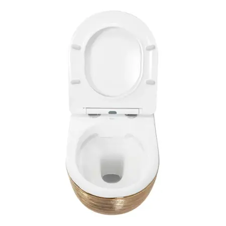 Set vas wc suspendat Rea Carlo rimless auriu periat cu capac softclose [4]