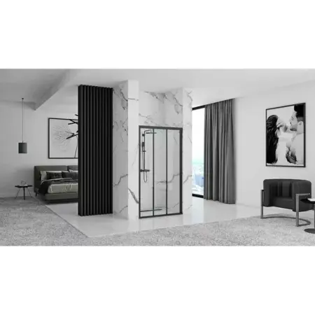 Usa de nisa culisanta Rea Alex 100 cm sticla 4 mm negru [5]