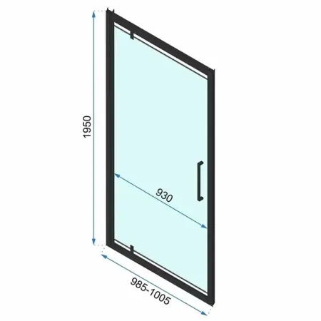 Usa de nisa pivotanta Rea Rapid Swing 100 cm sticla 6 mm negru [1]