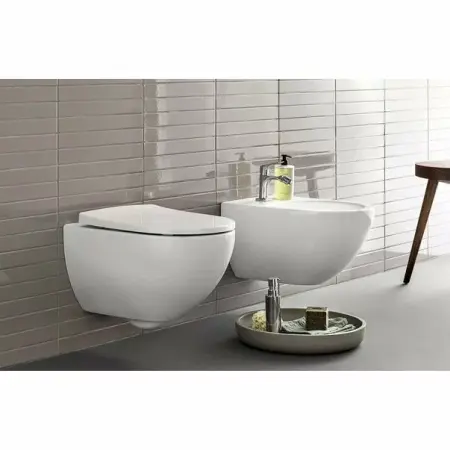 Vas wc suspendat Geberit Acanto Rimfree [3]