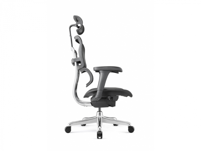 Scaun Ergonimic ErgoHuman 2 Basic BS Black Birou Directorial [4]