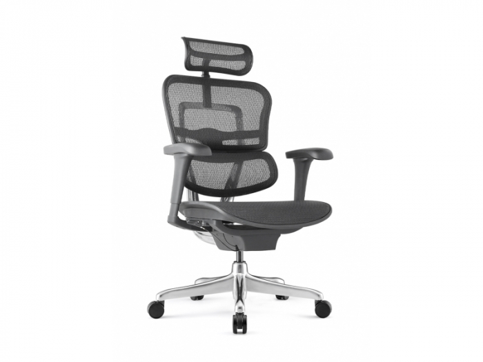 Scaun Ergonimic ErgoHuman 2 Basic BS Black Birou Directorial [8]