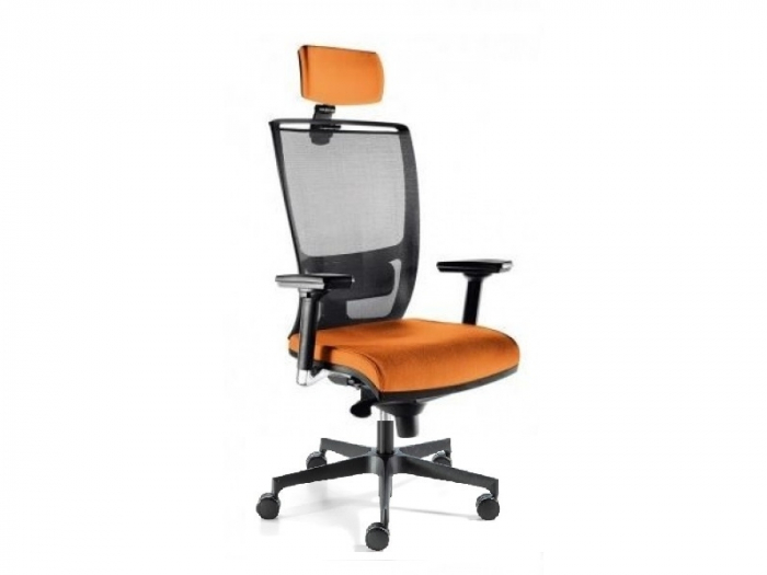 Scaun Ergonomic Zafira Birou Directorial [4]