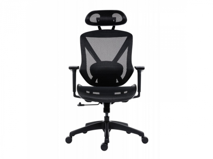 Scaun Ergonomic Aero Pro Birou Directorial [2]