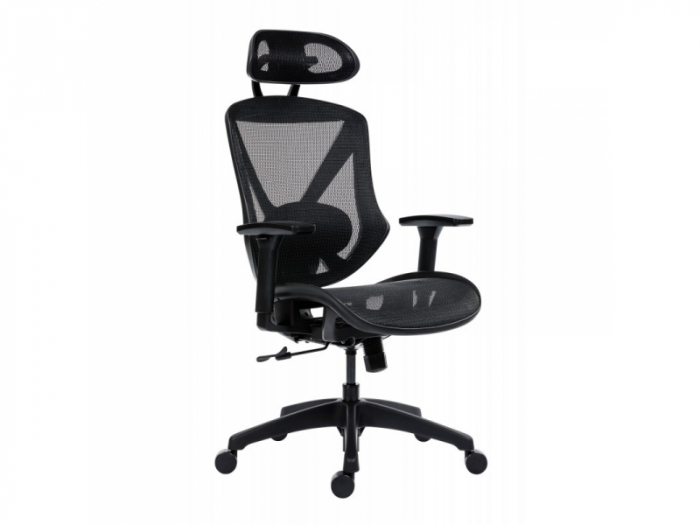 Scaun Ergonomic Aero Pro Birou Directorial [3]