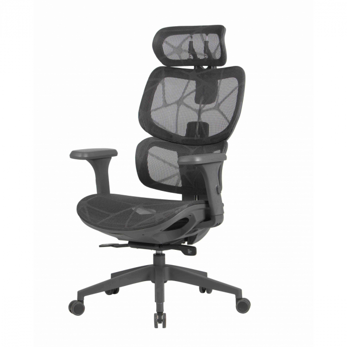 Scaun Ergonomic Humantech Birou Directorial [10]