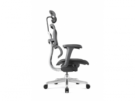 Scaun Ergonimic ErgoHuman 2 Basic BS Black Birou Directorial [3]