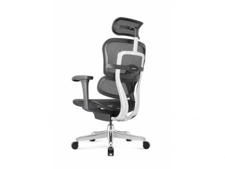 Scaun Ergonimic ErgoHuman 2 Basic BS Black Birou Directorial [6]