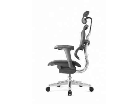 Scaun Ergonimic ErgoHuman 2 Basic BS Black Birou Directorial [5]