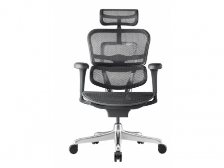 Scaun Ergonimic ErgoHuman 2 Basic BS Black Birou Directorial [1]