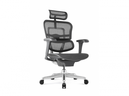 Scaun Ergonimic ErgoHuman 2 Basic BS Black Birou Directorial [7]