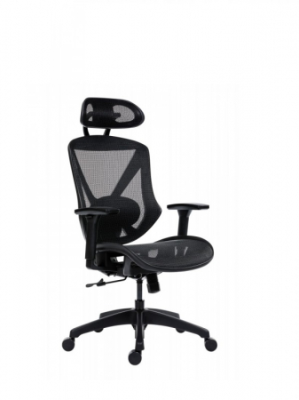 Scaune Ergonomice - Scaun Ergonomic Aero Pro Birou Directorial