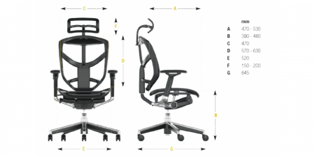 Scaun Ergonimic Enjoy M Task Pro - W Black Mesh Birou Directorial [7]